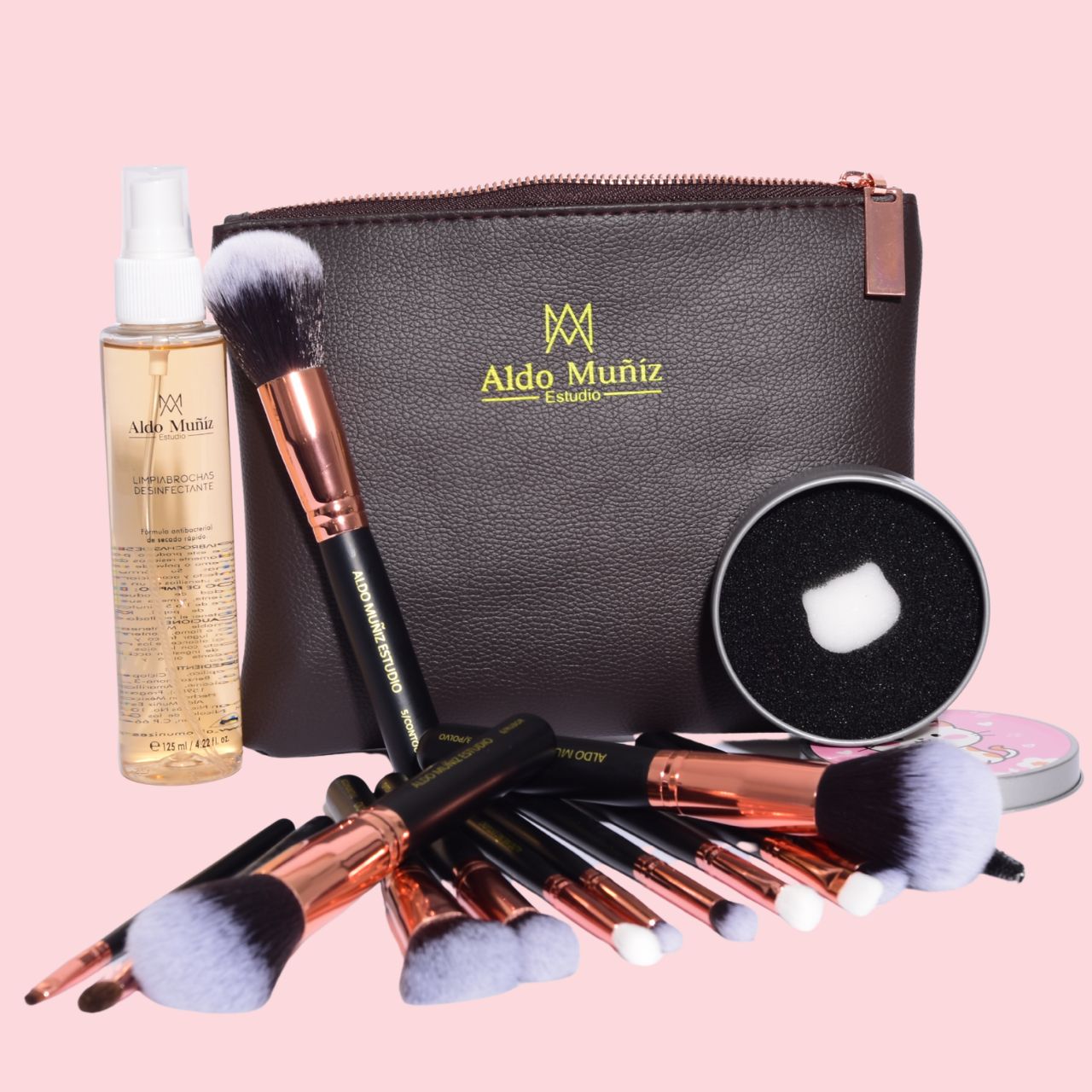 Kit 2 BROCHAS PROFESIONALES